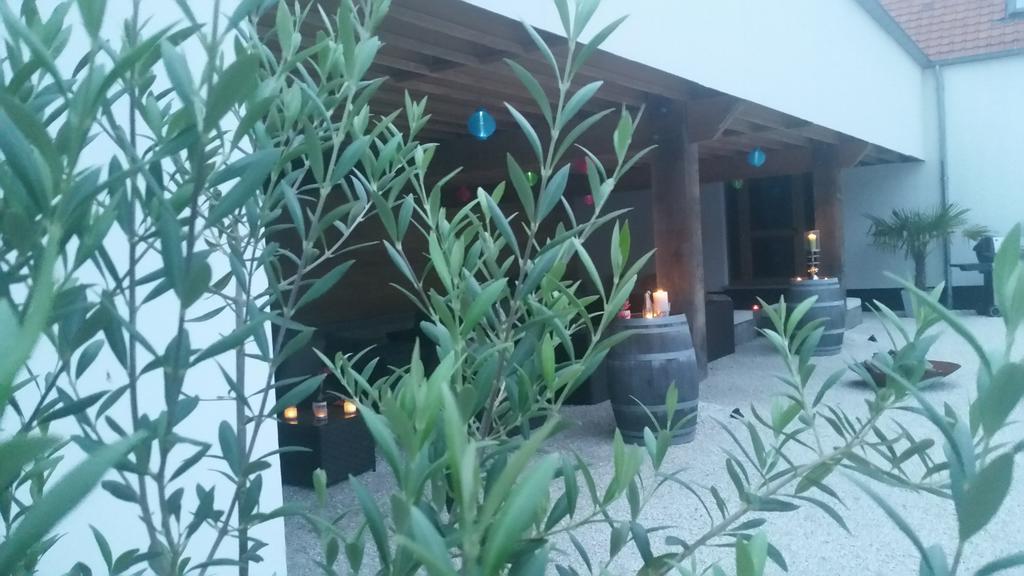 Ellezelles B&B La Douceur De La Miclette المظهر الخارجي الصورة